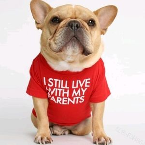 I still live with my parents Cute Red/Tangerine Pet Shirt for Dogs